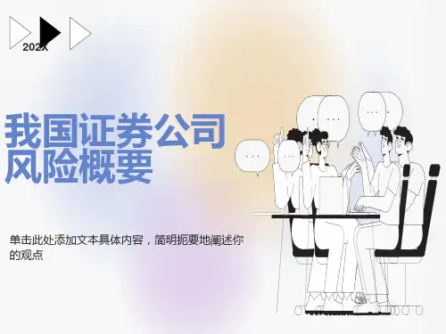 证券公司业务及风险概要