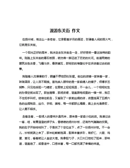 漫游东关街 作文