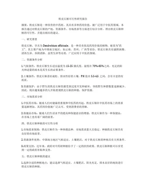 铁皮石斛可行性研究报告