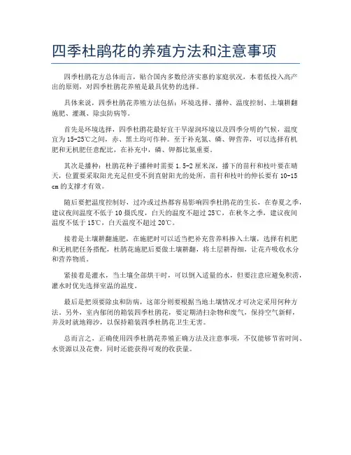 四季杜鹃花的养殖方法和注意事项