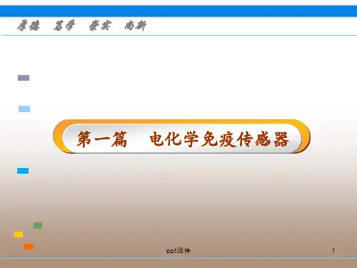 电化学免疫传感器  ppt课件