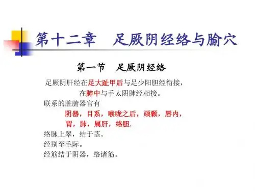 人体经络穴位图谱12肝经