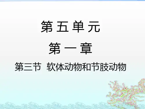 初中八年级上册生物《软体动物和节肢动物》课件