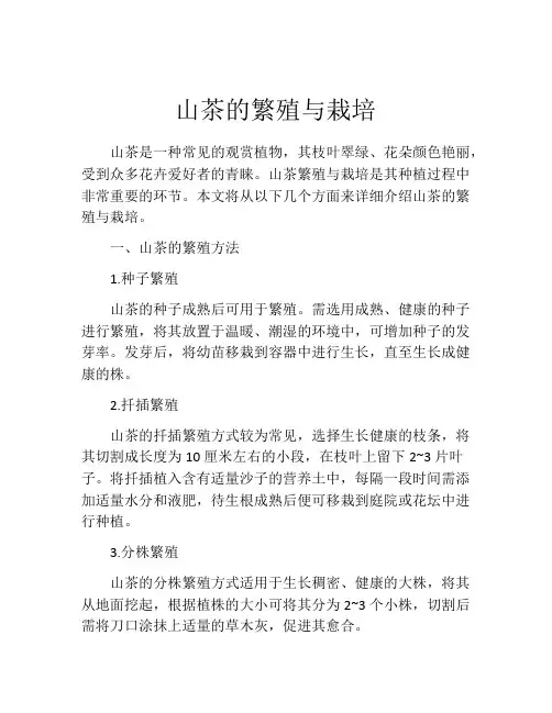 山茶的繁殖与栽培