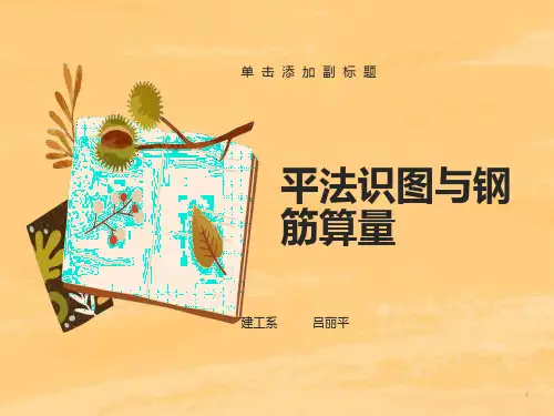 平法实图与钢筋算量