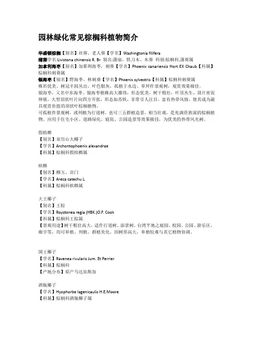 园林绿化常见棕榈科植物简介