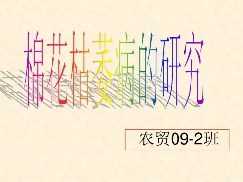 一、棉花枯萎病菌