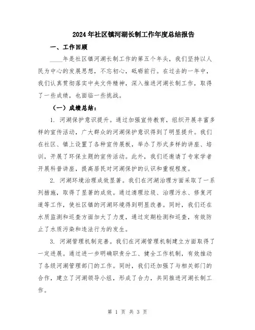 2024年社区镇河湖长制工作年度总结报告