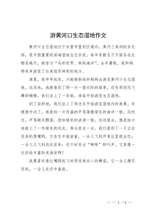 游黄河口生态湿地作文