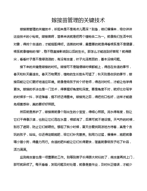 嫁接苗管理的关键技术