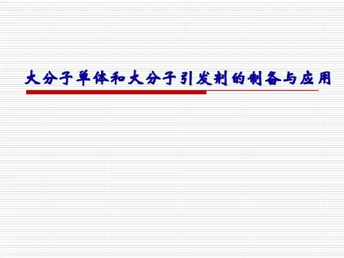 第5章 大分子引发