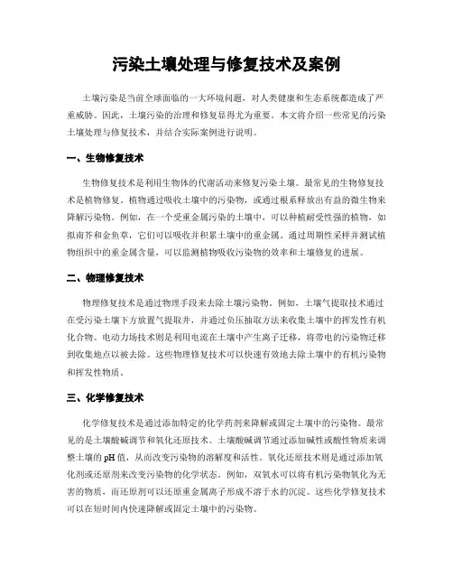 污染土壤处理与修复技术及案例