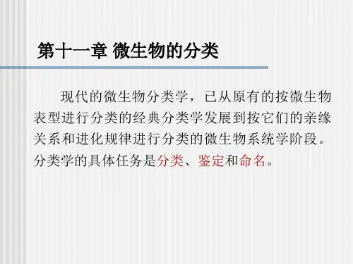 微生物的分类