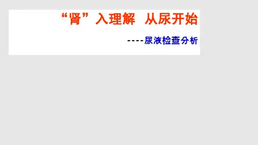 尿液检查分析PPT课件