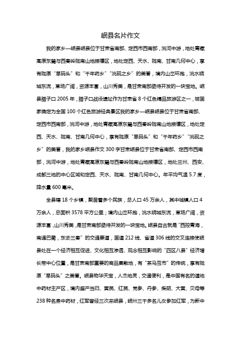 岷县名片作文