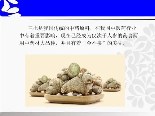 三七ppt课件