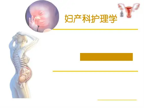 《妇产科解剖学》女性生殖系统解剖  ppt课件
