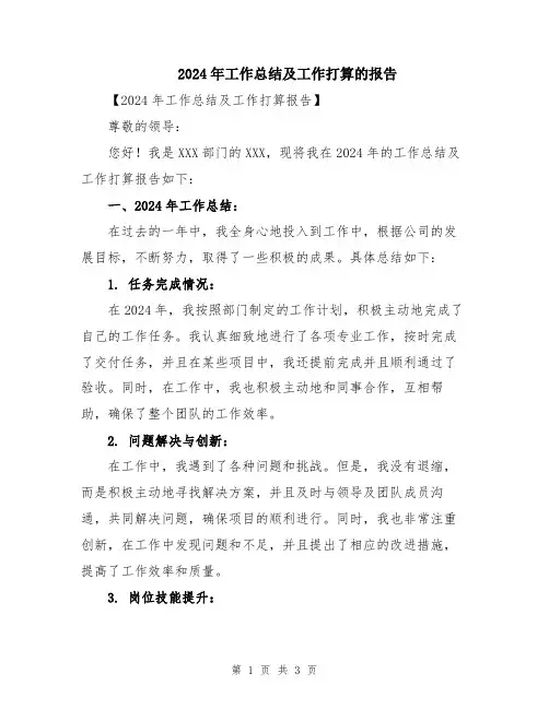 2024年工作总结及工作打算的报告