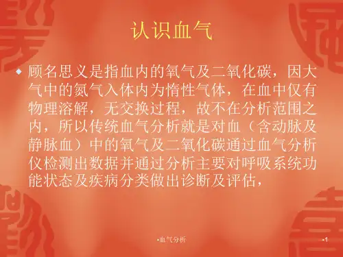 血气分析PPT课件