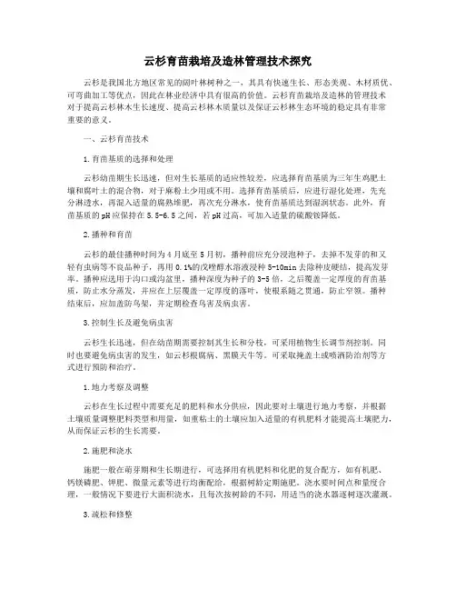 云杉育苗栽培及造林管理技术探究