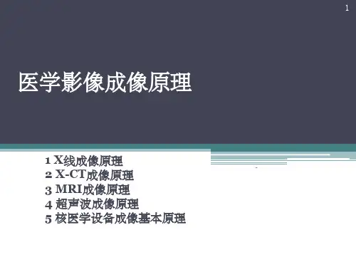 医学影像成像原理简介 ppt