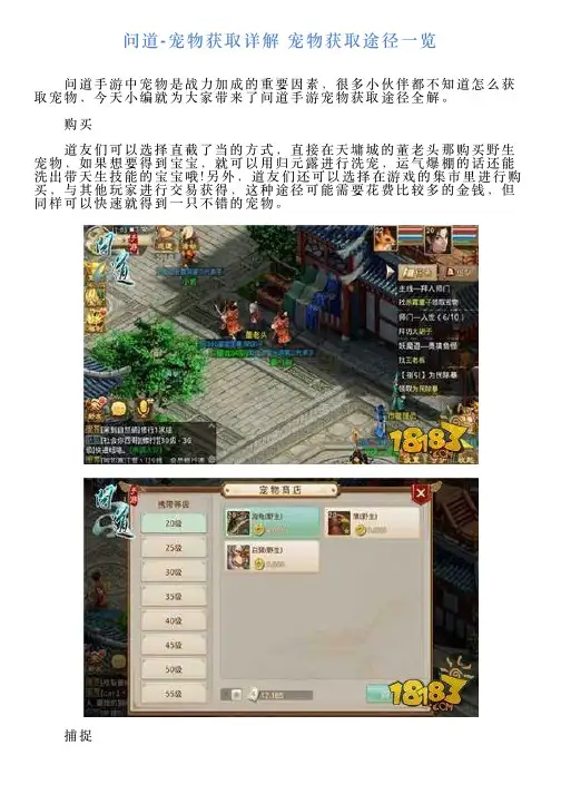 问道宠物获取详解宠物获取途径一览