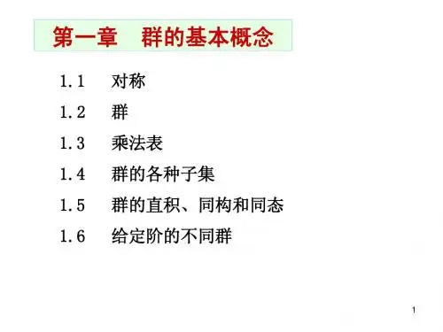 1.1-1.2对称.群