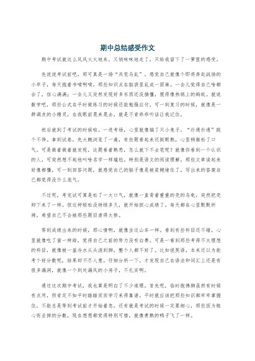 期中总结感受作文