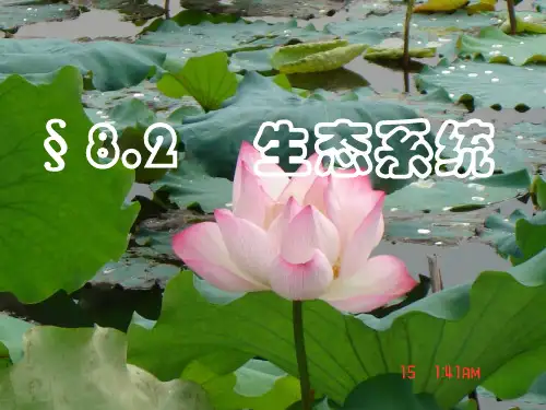 第二节 生态系统 PPT课件(初中科学)