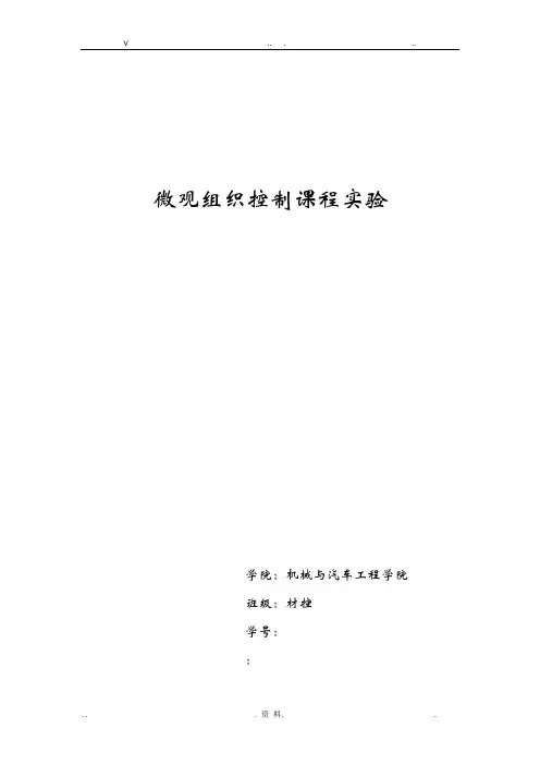 微观热处理T10钢