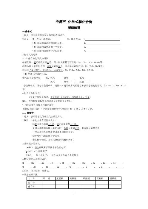 专题五 化学式和化合价