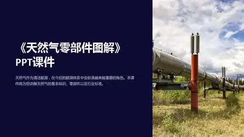 《天然气零部件图解》课件
