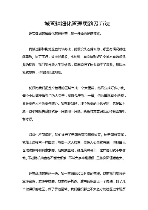 城管精细化管理思路及方法