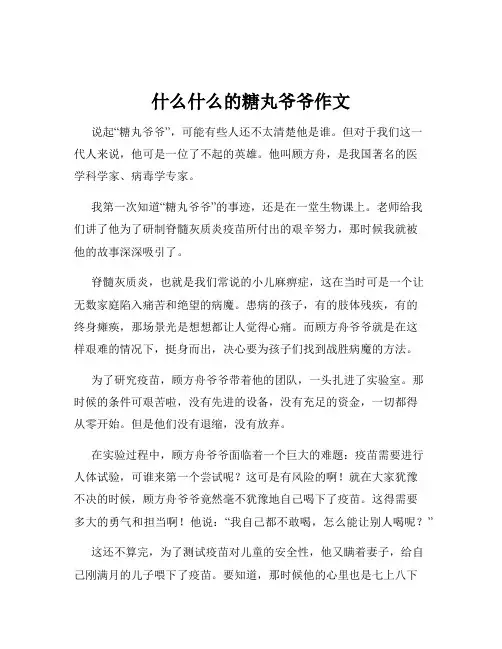 什么什么的糖丸爷爷作文