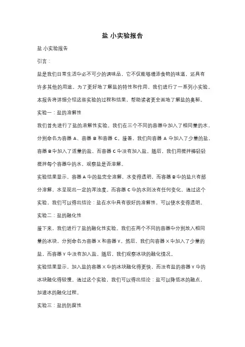 盐 小实验报告