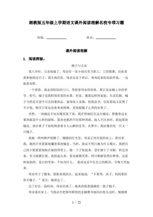 湘教版五年级上学期语文课外阅读理解名校专项习题