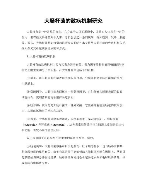 大肠杆菌的致病机制研究