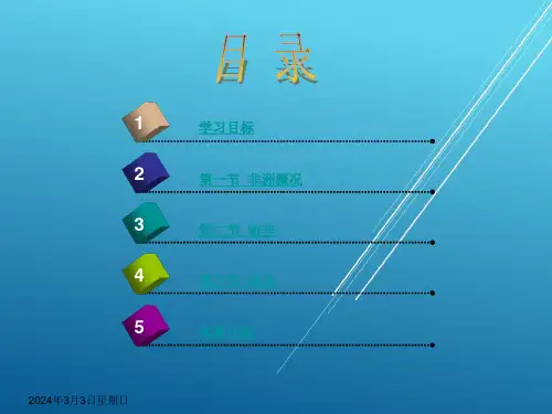 国际贸易地理第十章课件