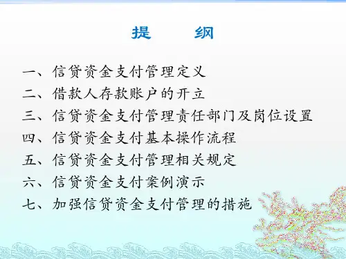 信贷资金支付操作与管理ppt课件
