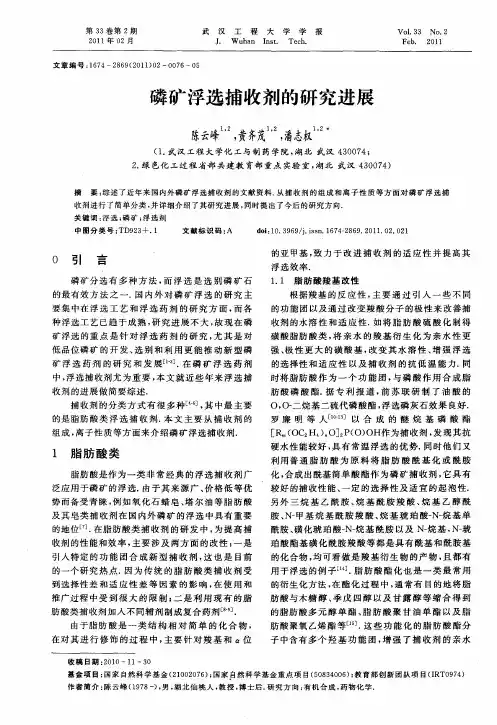 磷矿浮选捕收剂的研究进展
