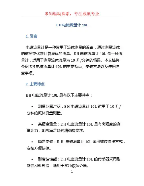 E H 电磁流量计10L