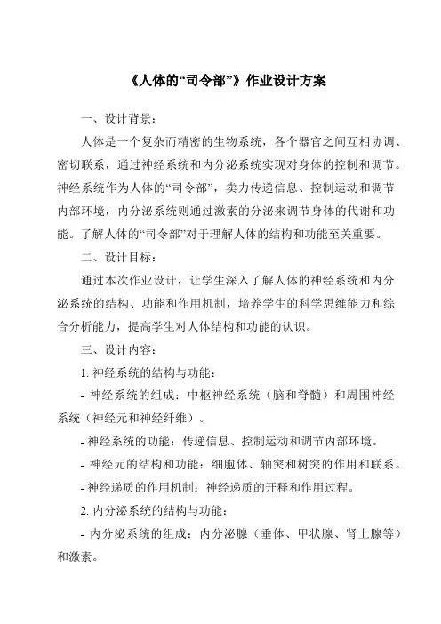 《人体的“司令部”作业设计方案》