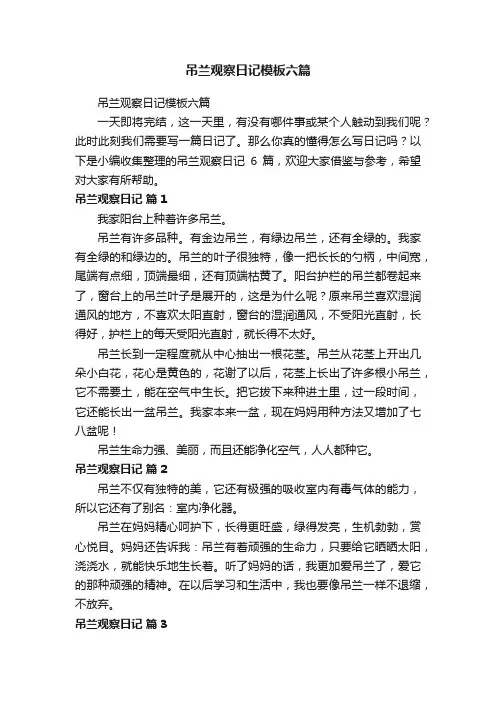 吊兰观察日记模板六篇