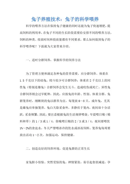 兔子养殖技术：兔子的科学喂养