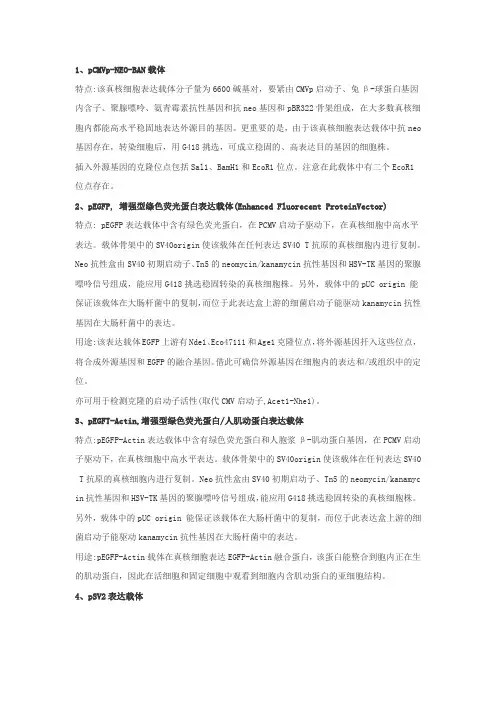 真核细胞常见表达载体