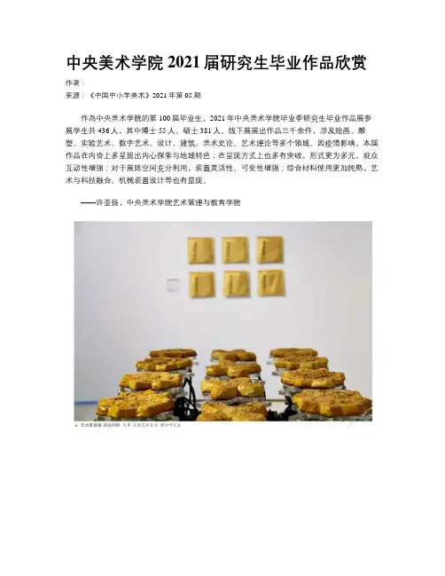 中央美术学院2021届研究生毕业作品欣赏