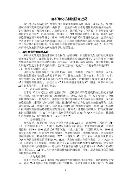 综述