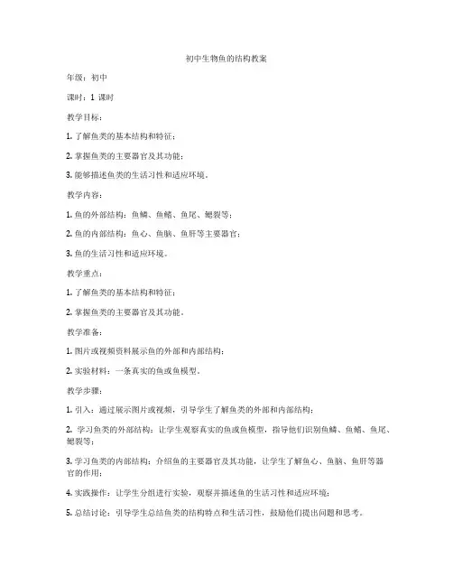 初中生物鱼的结构教案