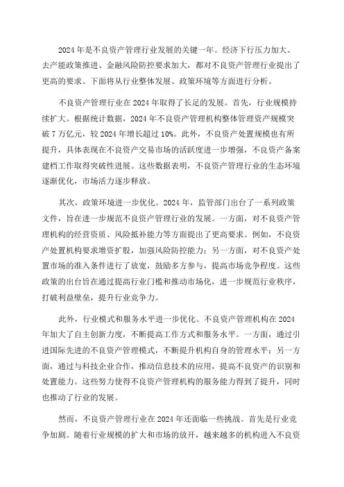 2024年不良资产管理行业发展分析报告