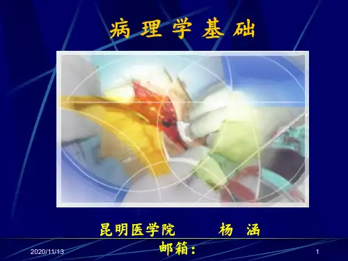病理学第一章绪论与疾病概论 ppt课件